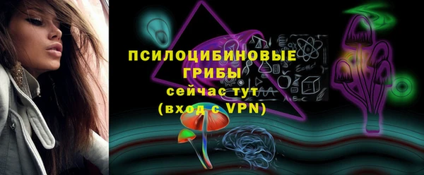 спиды Аркадак