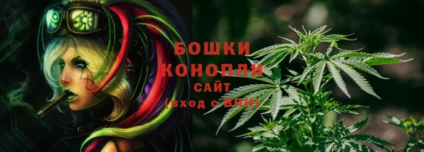 спиды Аркадак
