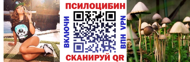 купить наркотик  Тейково  мега ONION  Галлюциногенные грибы прущие грибы 